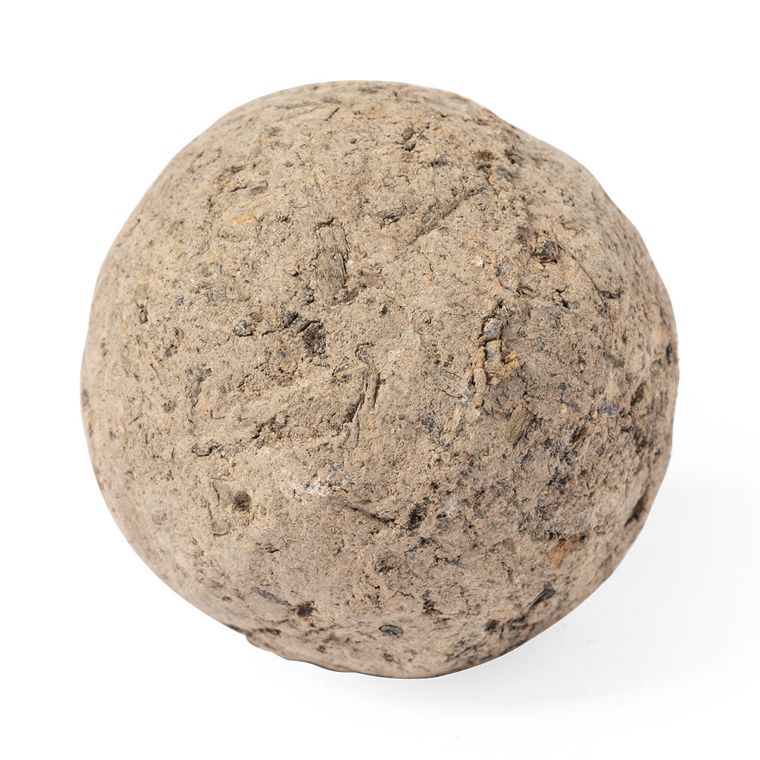 Bonbon di semi