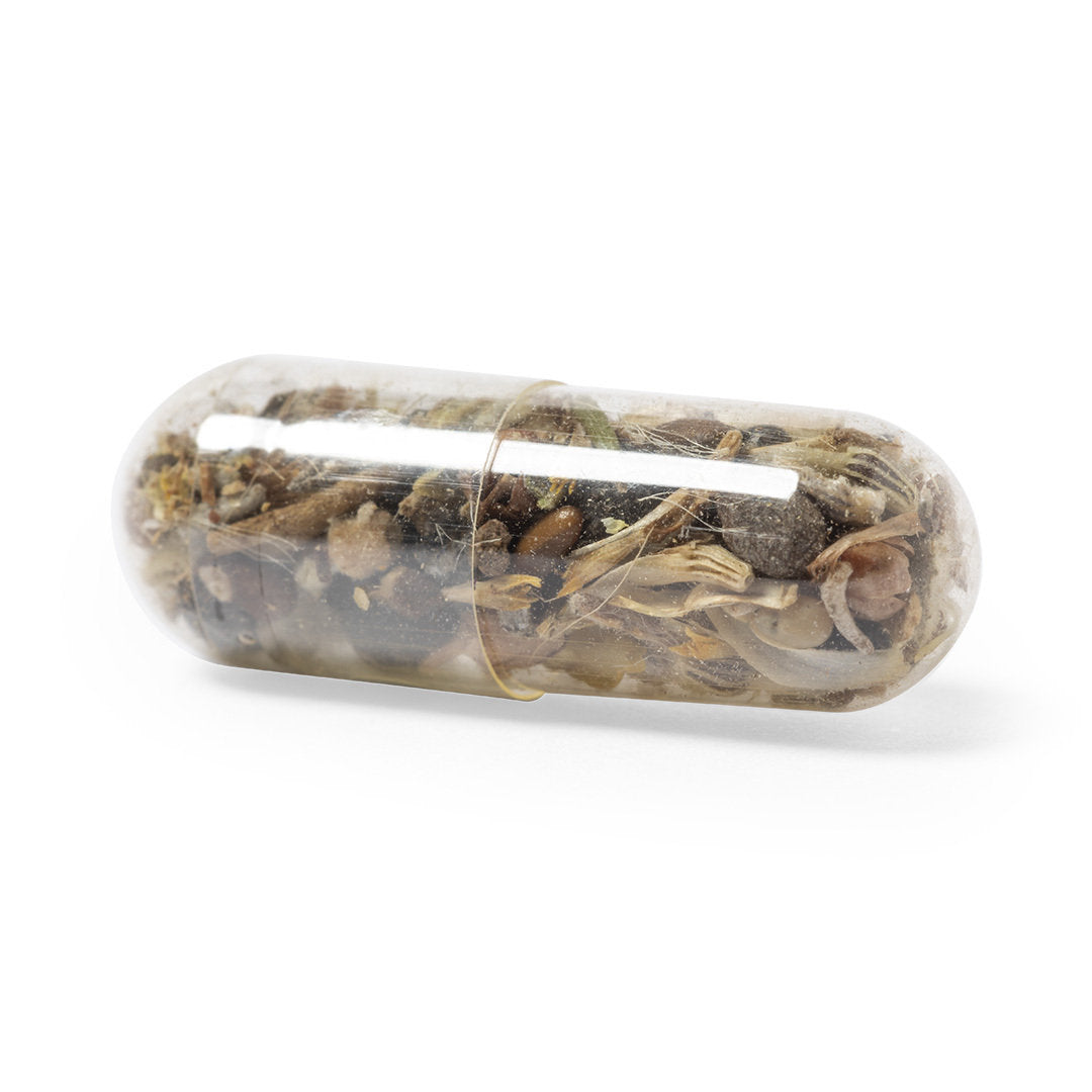 Capsula di semi